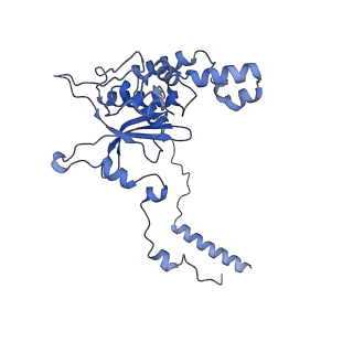 11289_6zme_LD_v1-1
SARS-CoV-2 Nsp1 bound to the human CCDC124-80S-eERF1 ribosome complex