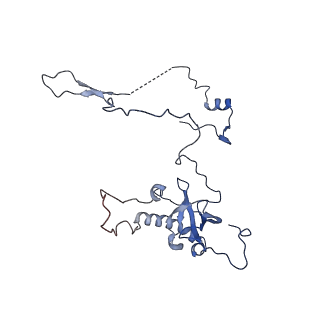 11289_6zme_LE_v1-1
SARS-CoV-2 Nsp1 bound to the human CCDC124-80S-eERF1 ribosome complex