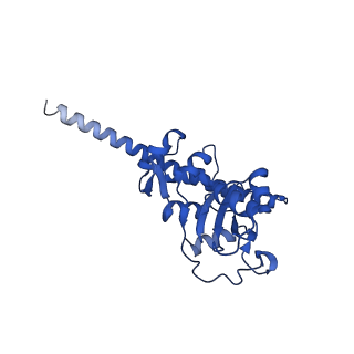 11289_6zme_LF_v1-1
SARS-CoV-2 Nsp1 bound to the human CCDC124-80S-eERF1 ribosome complex
