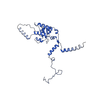 11289_6zme_LG_v1-1
SARS-CoV-2 Nsp1 bound to the human CCDC124-80S-eERF1 ribosome complex
