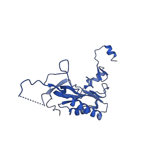 11289_6zme_LI_v1-1
SARS-CoV-2 Nsp1 bound to the human CCDC124-80S-eERF1 ribosome complex