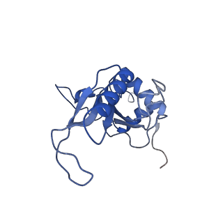 11289_6zme_LJ_v1-1
SARS-CoV-2 Nsp1 bound to the human CCDC124-80S-eERF1 ribosome complex