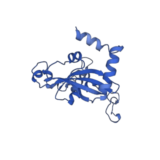 11289_6zme_LN_v1-1
SARS-CoV-2 Nsp1 bound to the human CCDC124-80S-eERF1 ribosome complex