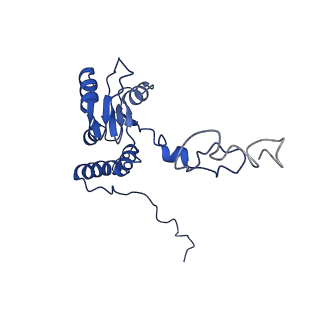 11289_6zme_LQ_v1-1
SARS-CoV-2 Nsp1 bound to the human CCDC124-80S-eERF1 ribosome complex