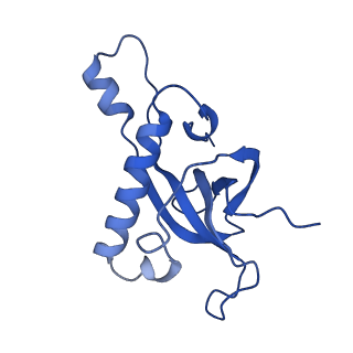 11289_6zme_LZ_v1-1
SARS-CoV-2 Nsp1 bound to the human CCDC124-80S-eERF1 ribosome complex