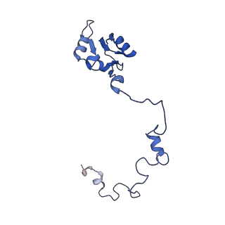 11289_6zme_La_v1-1
SARS-CoV-2 Nsp1 bound to the human CCDC124-80S-eERF1 ribosome complex