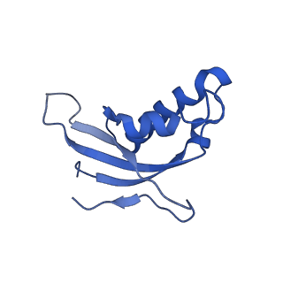 11289_6zme_Ld_v1-1
SARS-CoV-2 Nsp1 bound to the human CCDC124-80S-eERF1 ribosome complex