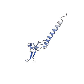 11289_6zme_Lg_v1-1
SARS-CoV-2 Nsp1 bound to the human CCDC124-80S-eERF1 ribosome complex