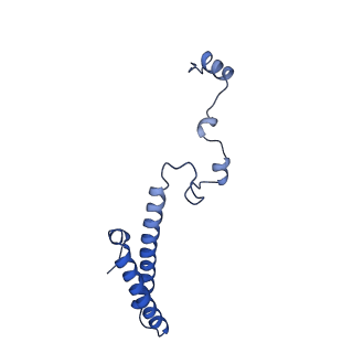 11289_6zme_Lh_v1-1
SARS-CoV-2 Nsp1 bound to the human CCDC124-80S-eERF1 ribosome complex