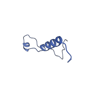 11289_6zme_Ll_v1-1
SARS-CoV-2 Nsp1 bound to the human CCDC124-80S-eERF1 ribosome complex