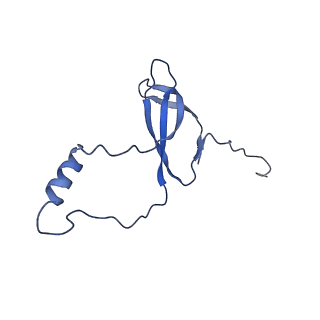 11289_6zme_Lo_v1-1
SARS-CoV-2 Nsp1 bound to the human CCDC124-80S-eERF1 ribosome complex