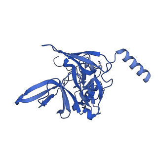 11289_6zme_SE_v1-1
SARS-CoV-2 Nsp1 bound to the human CCDC124-80S-eERF1 ribosome complex