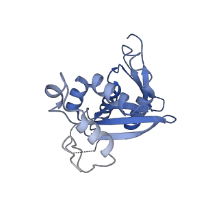 11289_6zme_SH_v1-1
SARS-CoV-2 Nsp1 bound to the human CCDC124-80S-eERF1 ribosome complex