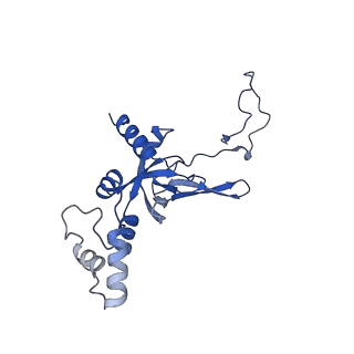 11289_6zme_SI_v1-1
SARS-CoV-2 Nsp1 bound to the human CCDC124-80S-eERF1 ribosome complex