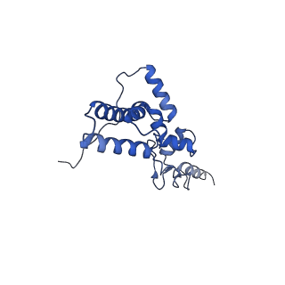 11289_6zme_SJ_v1-1
SARS-CoV-2 Nsp1 bound to the human CCDC124-80S-eERF1 ribosome complex