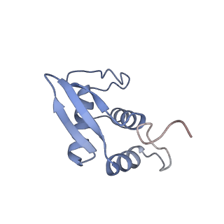 11289_6zme_SK_v1-1
SARS-CoV-2 Nsp1 bound to the human CCDC124-80S-eERF1 ribosome complex