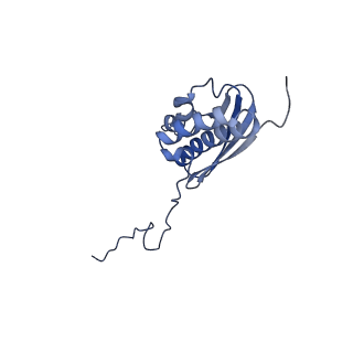 11289_6zme_SQ_v1-1
SARS-CoV-2 Nsp1 bound to the human CCDC124-80S-eERF1 ribosome complex