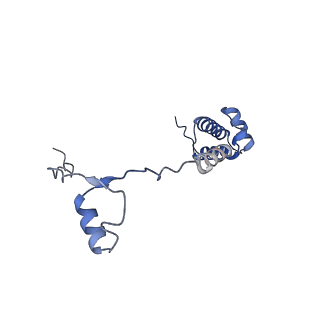 11289_6zme_SR_v1-1
SARS-CoV-2 Nsp1 bound to the human CCDC124-80S-eERF1 ribosome complex