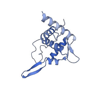 11289_6zme_ST_v1-1
SARS-CoV-2 Nsp1 bound to the human CCDC124-80S-eERF1 ribosome complex