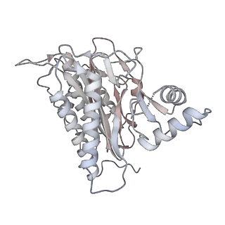 11292_6zmi_CA_v1-1
SARS-CoV-2 Nsp1 bound to the human LYAR-80S ribosome complex