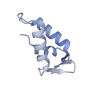 11292_6zmi_CE_v1-1
SARS-CoV-2 Nsp1 bound to the human LYAR-80S ribosome complex