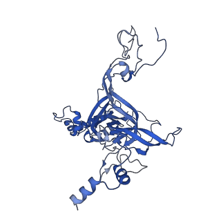 11292_6zmi_LB_v1-1
SARS-CoV-2 Nsp1 bound to the human LYAR-80S ribosome complex