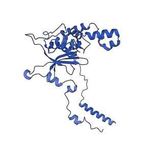 11292_6zmi_LD_v1-1
SARS-CoV-2 Nsp1 bound to the human LYAR-80S ribosome complex