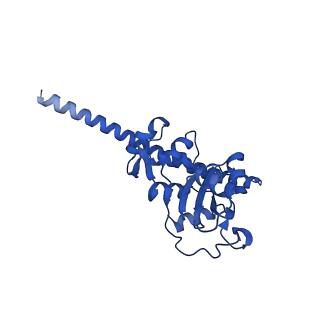 11292_6zmi_LF_v1-1
SARS-CoV-2 Nsp1 bound to the human LYAR-80S ribosome complex