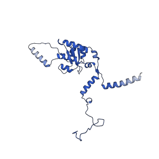11292_6zmi_LG_v1-1
SARS-CoV-2 Nsp1 bound to the human LYAR-80S ribosome complex