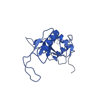 11292_6zmi_LJ_v1-1
SARS-CoV-2 Nsp1 bound to the human LYAR-80S ribosome complex