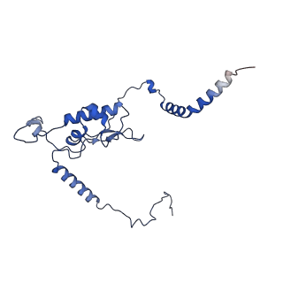 11292_6zmi_LL_v1-1
SARS-CoV-2 Nsp1 bound to the human LYAR-80S ribosome complex