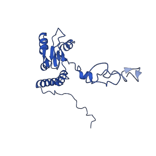 11292_6zmi_LQ_v1-1
SARS-CoV-2 Nsp1 bound to the human LYAR-80S ribosome complex