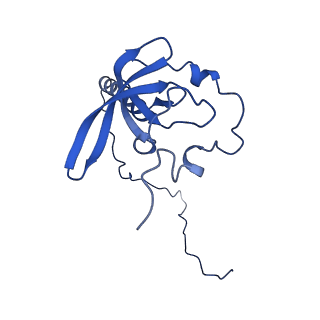 11292_6zmi_LT_v1-1
SARS-CoV-2 Nsp1 bound to the human LYAR-80S ribosome complex