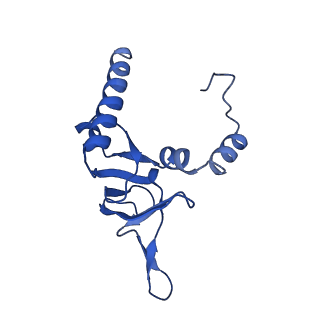 11292_6zmi_LY_v1-1
SARS-CoV-2 Nsp1 bound to the human LYAR-80S ribosome complex