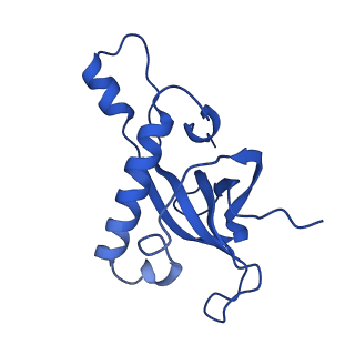 11292_6zmi_LZ_v1-1
SARS-CoV-2 Nsp1 bound to the human LYAR-80S ribosome complex