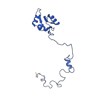 11292_6zmi_La_v1-1
SARS-CoV-2 Nsp1 bound to the human LYAR-80S ribosome complex