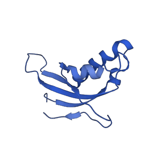 11292_6zmi_Ld_v1-1
SARS-CoV-2 Nsp1 bound to the human LYAR-80S ribosome complex