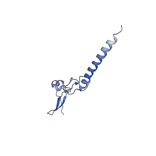 11292_6zmi_Lg_v1-1
SARS-CoV-2 Nsp1 bound to the human LYAR-80S ribosome complex