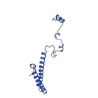 11292_6zmi_Lh_v1-1
SARS-CoV-2 Nsp1 bound to the human LYAR-80S ribosome complex