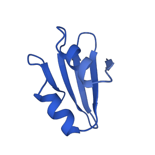 11292_6zmi_Lk_v1-1
SARS-CoV-2 Nsp1 bound to the human LYAR-80S ribosome complex