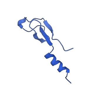 11292_6zmi_Lm_v1-1
SARS-CoV-2 Nsp1 bound to the human LYAR-80S ribosome complex