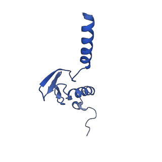 11292_6zmi_Lp_v1-1
SARS-CoV-2 Nsp1 bound to the human LYAR-80S ribosome complex