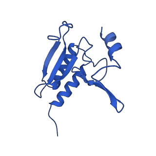 11292_6zmi_Lr_v1-1
SARS-CoV-2 Nsp1 bound to the human LYAR-80S ribosome complex