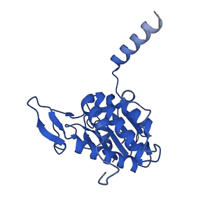 11292_6zmi_SA_v1-1
SARS-CoV-2 Nsp1 bound to the human LYAR-80S ribosome complex