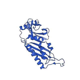 11292_6zmi_SB_v1-1
SARS-CoV-2 Nsp1 bound to the human LYAR-80S ribosome complex