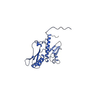 11292_6zmi_SD_v1-1
SARS-CoV-2 Nsp1 bound to the human LYAR-80S ribosome complex
