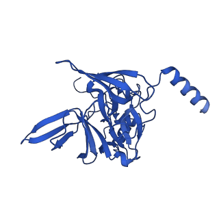 11292_6zmi_SE_v1-1
SARS-CoV-2 Nsp1 bound to the human LYAR-80S ribosome complex