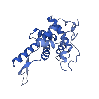 11292_6zmi_SF_v1-1
SARS-CoV-2 Nsp1 bound to the human LYAR-80S ribosome complex