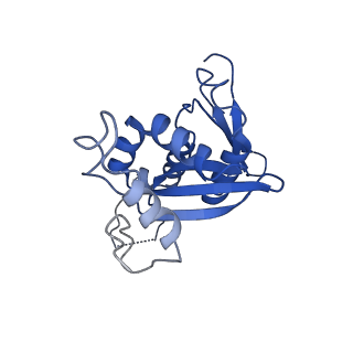 11292_6zmi_SH_v1-1
SARS-CoV-2 Nsp1 bound to the human LYAR-80S ribosome complex