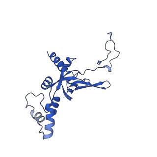 11292_6zmi_SI_v1-1
SARS-CoV-2 Nsp1 bound to the human LYAR-80S ribosome complex